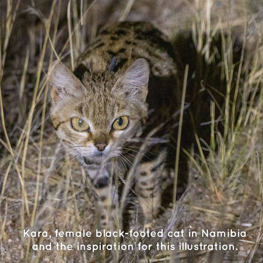 Black-Footed Cat T-Shirt