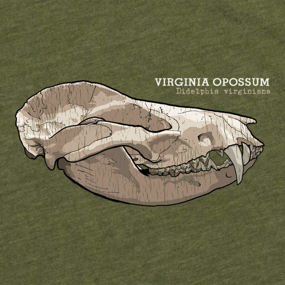 Opossum Women's Tee