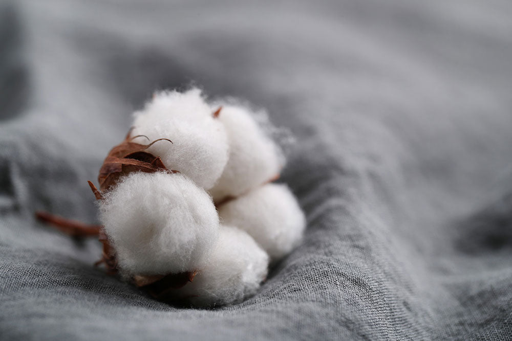 Virgin cotton ball